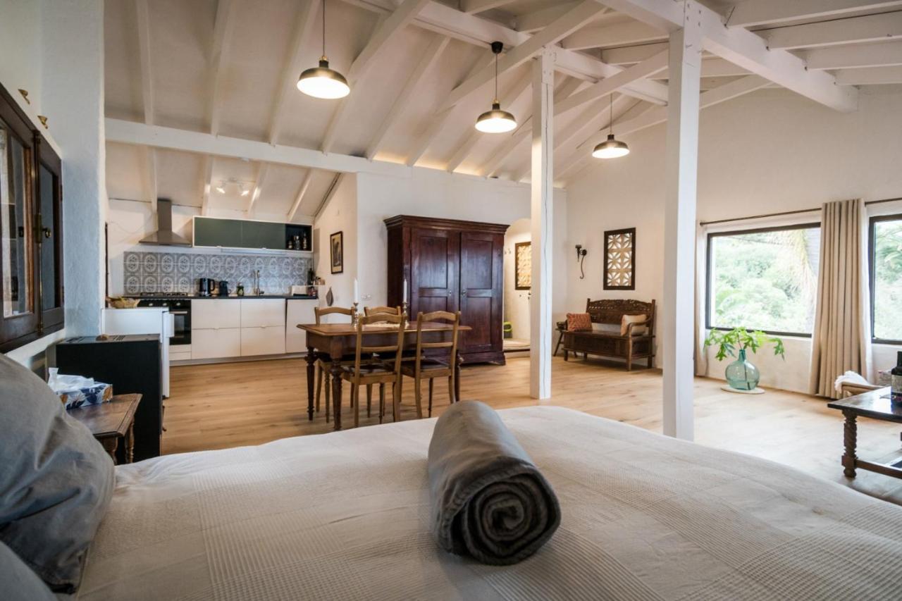 Ferienwohnung Finca Monica La Matanza De Acentejo Dış mekan fotoğraf