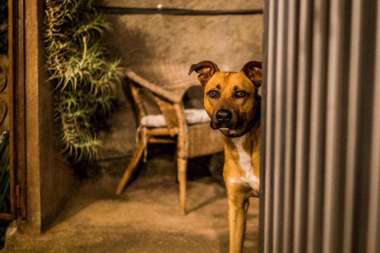 Ferienwohnung Finca Monica La Matanza De Acentejo Dış mekan fotoğraf