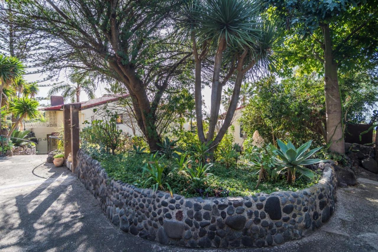 Ferienwohnung Finca Monica La Matanza De Acentejo Dış mekan fotoğraf