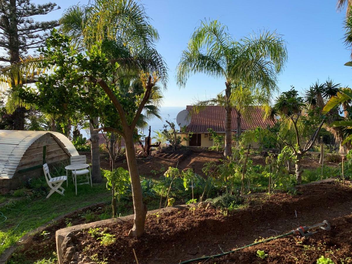 Ferienwohnung Finca Monica La Matanza De Acentejo Dış mekan fotoğraf