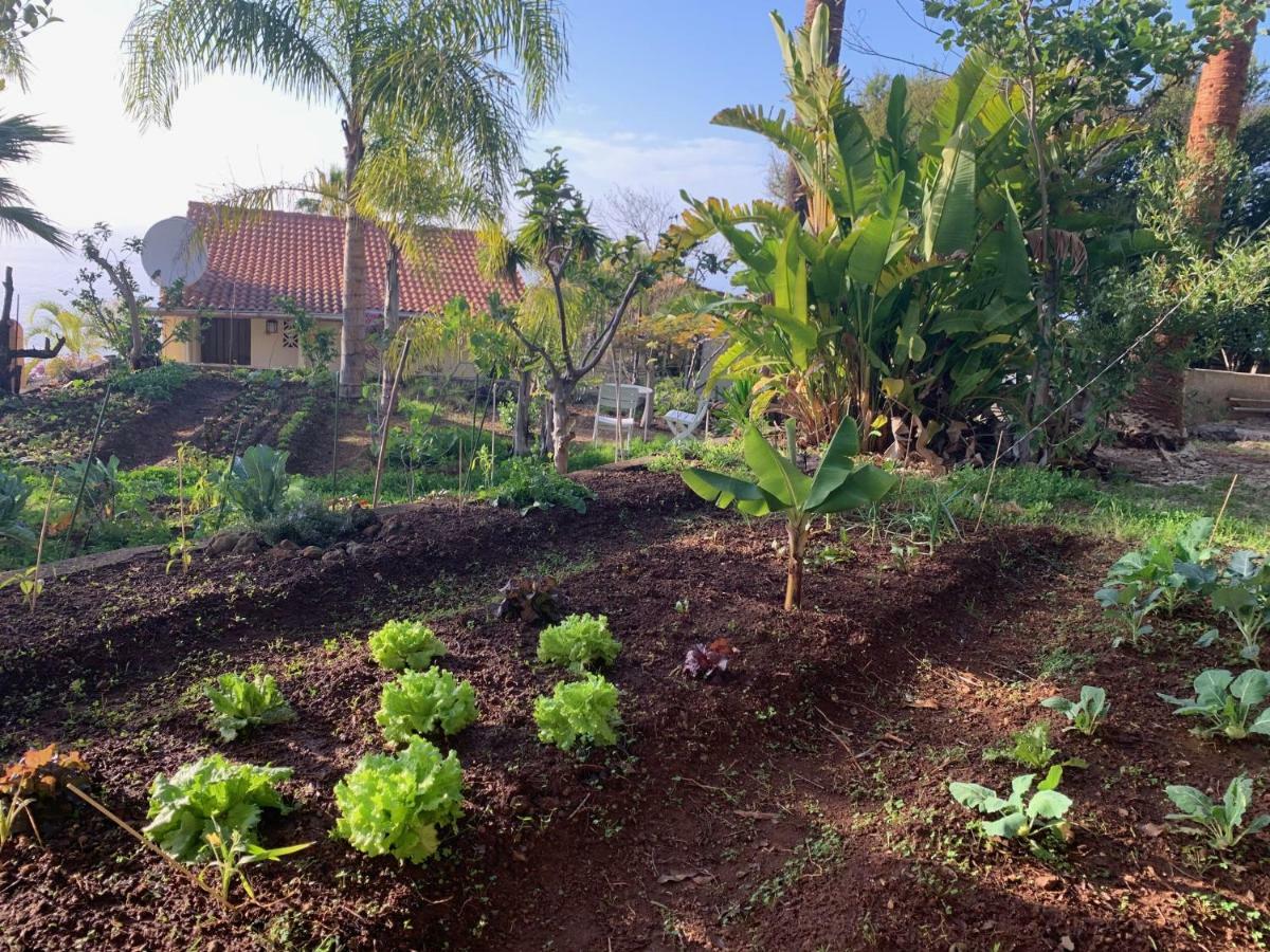 Ferienwohnung Finca Monica La Matanza De Acentejo Dış mekan fotoğraf